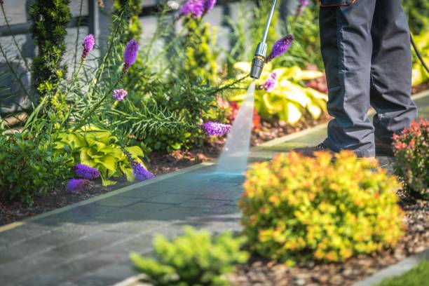 Best Parking Lot and Garage Cleaning  in Glenwood, GA